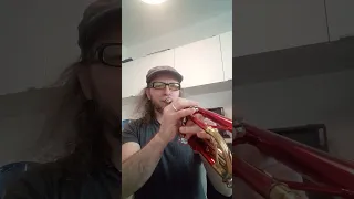 Урок трубы #24 #trumpet #lesson Ежедневные упражнения #разминка #2024 (продолжение)