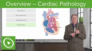 Overview – Cardiac Pathology | Lecturio