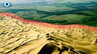 How China Turned DESERTS Into FORESTS - The Great Green Wall