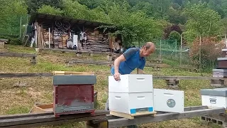 Modularità e riutilizzabilità dei materiali in apicoltura