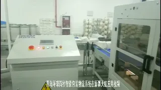 Hicorp automatic packing system