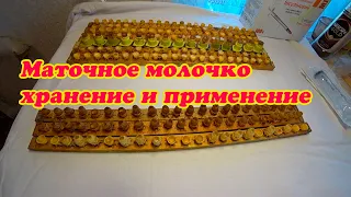 КАК СОБРАТЬ МАТОЧНОЕ МОЛОЧКО, ХРАНЕНИЕ И ПРИМЕНЕНИЕ.