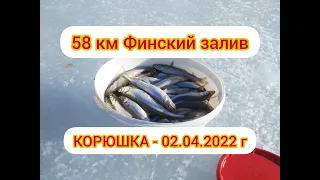Рыбалка на корюшку Финский залив 58 километр 02.04.2022 г.