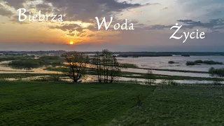 Biebrza - Woda - Życie