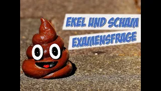 Gemeinsamkeiten von Scham und Ekel | Examensfrage | Pflege Kanal