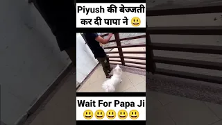 Piyush की बेज्जती कर दी पापा जी ने 😃 @souravjoshivlogs7028 #souravjoshivlogs #shorts #short #viral