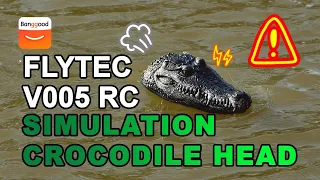 Crocodile Head RC Boat Prank? Flytec V005 Best Model Toy-  Banggood RC Store