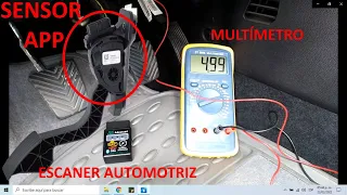 Accelerator Pedal Position Sensor: Complete Guide and DTCs (APP Sensor)