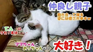 【母猫は1歳】子猫が子ネコを育てる！ #29 ママちゃん大好きな「お子達」！兄妹も仲良し((*´艸‘))ﾌﾟﾌﾟｯ