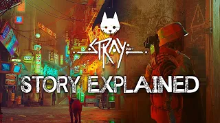 Stray - Story Explained
