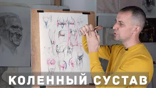 Коленный сустав - А. Рыжкин