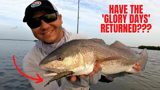 Have The GLORY DAYS Returned? [Mosquito Lagoon Scouting Trip]