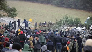 Сотни мигрантов разбили лагерь на белорусско-польской границе 09/11/21 LIVE | ТНВ