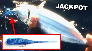 How to Catch Skipjack Tuna using DIY Fishing Lures Made from Crystalline Cloth (Proven & Recommended