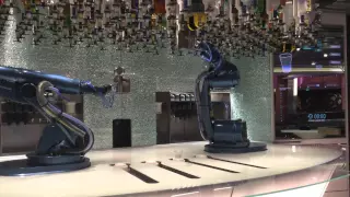 Royal Caribbean Quantum of the Seas Bionic Bar