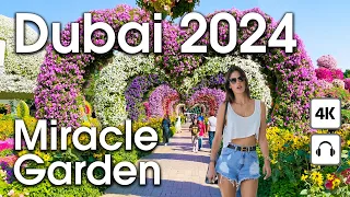 Dubai 🇦🇪 Amazing Miracle Garden [ 4K ] Walking Tour