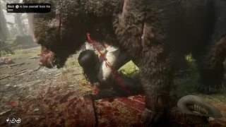 Only John Marston Can Shake Off A Brutal Bear Attack So Casually | Red Dead Redemption 2 (RDR2)