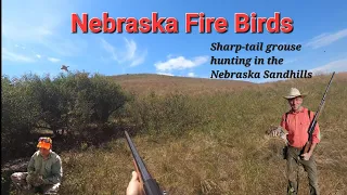 TPW: Nebraska Fire Birds/ Grouse hunting in the Nebraska Sandhills. Season 2 episode 1.