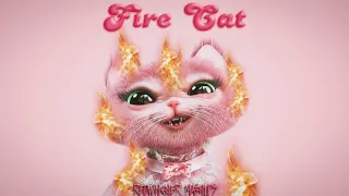 ✧ Fire Drill x Copy Cat (Mashup) - Melanie Martinez 2x & Tierra Whack ✧