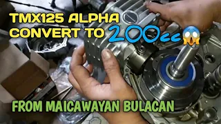 TMX125 ALPHA CONVERT TO 200cc