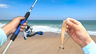 BIG FISH ate my LIVE SHRIMP! (Catch and Cook) Epic Beach Fishing