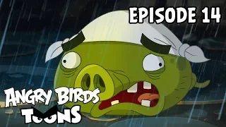 Angry Birds Toons | Not Without my Helmet - S2 Ep14
