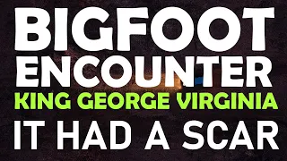 Bigfoot Encounter In King George Virginia | The Creature Had A Scar