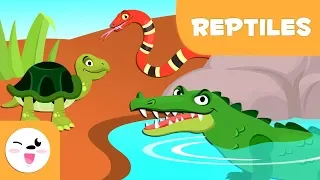 Los reptiles para niños - Animales vertebrados - Ciencias naturales para niños