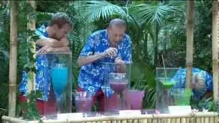 Steve Davis Drunk on 'I'm a Celebrity 2013'