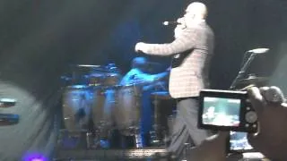 Pitbull in Melbourne July 2011