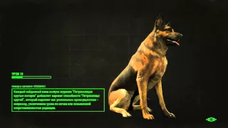 FALLOUT 4 1080p60 Миссия "Пропавший патруль" "Паладин Брендис"