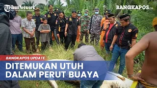 Jasad Bocah 8 Tahun Ditemukan Utuh Di Dalam Perut Buaya, Diperkirakan Ditelan Bulat