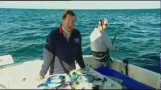 IFISH Paul Worsteling Mako Shark fishing off Sydney & Australian Salmon in Narooma IFISHTV