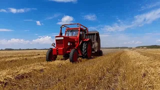 MTZ 50 & Hesston 5580 Zabszalma Bálázás | Zabszalma Bálázás 2023