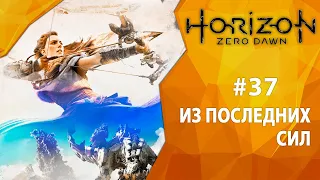 Прохождение Horizon: Zero Dawn #37 - Из последних сил