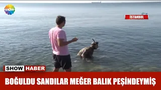 Boğuldu sandılar meğer balık peşindeymiş