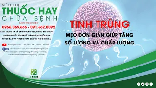 NAM GIỚI_MẸO ĐƠN GIẢM GIÚP TĂNG SỐ LƯỢNG TINH TRÙNG