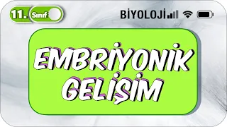 11. Sınıf Biyoloji Embriyonik Gelişim  |TEK VİDEODA KONU ANLATIMI ✍️