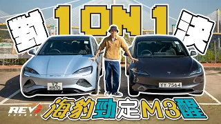 BYD Seal vs Tesla Model 3 埋身肉搏邊部贏？海豹克唔克服到Model 3嘅缺點？ #REVchannel