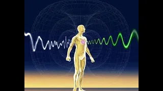 HUMANS have  'MAGNETIC 6th SENSE' to Detect Something We Can’t See! Interacts with Geomagnetic Field