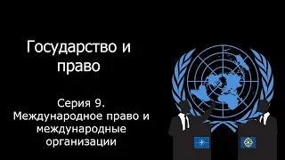 Государство и право. Международное право и международные организации. Серия 9