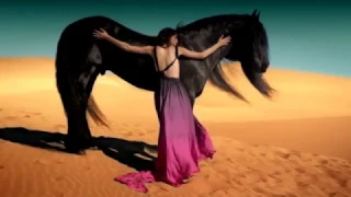 wild horses (epic emotional music)