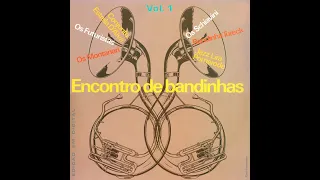 Coletânea "ENCONTRO DE BANDINHAS" (Vol. 1) - (1976, FULL STEREO HQ, LP Completo)