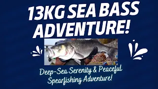 Winter Spearfishing Thrills: Epic 13kg Sea Bass Hunt with Precision Shot!