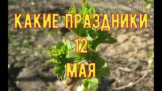 какой сегодня праздник?  12 мая  праздник каждый день  праздник к нам приходит  есть повод