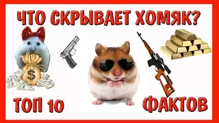 ТОП - 10 ФАКТОВ О ХОМЯКАХ ХОМЯКА | что скрывает твой хомяк | 10 Facts About hamster