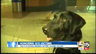 New bomb-sniffing dog arrives at Sky Harbor