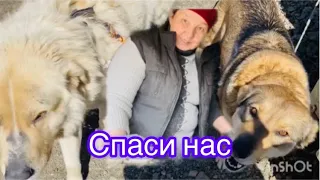 Спаси нас от аномальной жары.