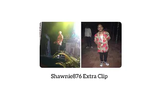 Shawnie876 - EXTRA CLIP  (Brik Pan Brik Riddim)