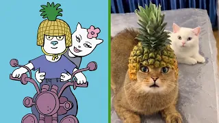Drawing Meme cats #12 | 🏍cat and his wife with a pineapple helmet | Cat Memes funny | meme cat